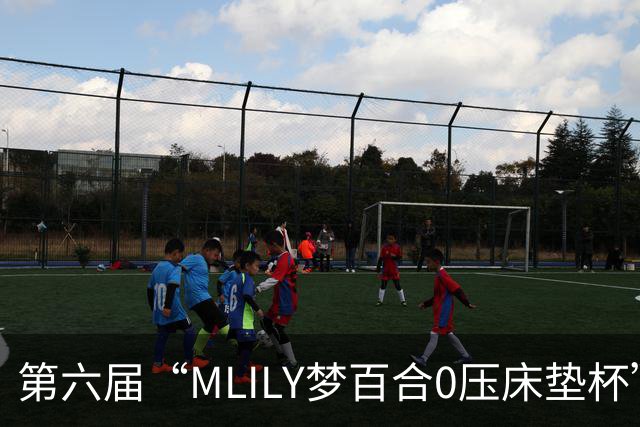 第六届“MLILY梦百合0压床垫杯”世界围棋公开赛国际预选赛5月8日如皋开战